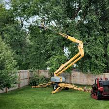 Leaf Removal in Moreland, ID